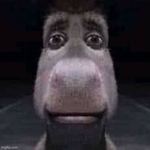 Donkey staring | image tagged in donkey staring | made w/ Imgflip meme maker