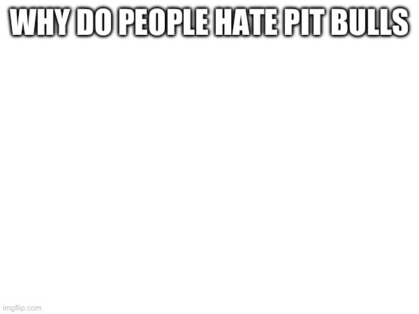 Pit bulls are sweeties | WHY DO PEOPLE HATE PIT BULLS | made w/ Imgflip meme maker