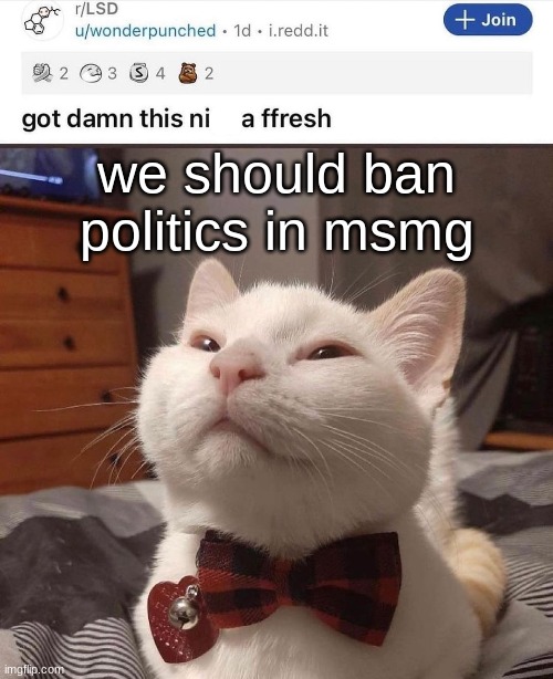 comment to ban politics | we should ban politics in msmg | image tagged in lsd cat | made w/ Imgflip meme maker