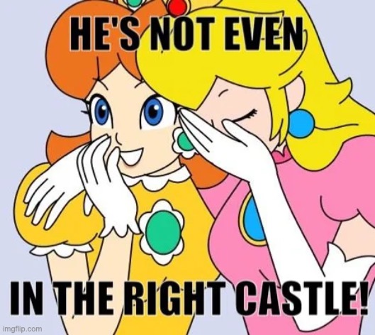 image tagged in mario bros,peach,castle | made w/ Imgflip meme maker