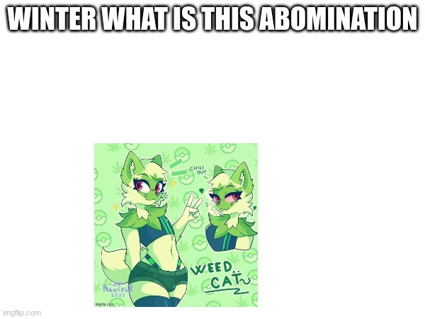 WINTER WHAT IS THIS ABOMINATION | image tagged in m | made w/ Imgflip meme maker