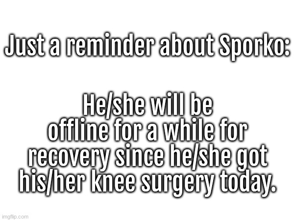 Sporko reminder | He/she will be offline for a while for recovery since he/she got his/her knee surgery today. Just a reminder about Sporko: | image tagged in dont mind,the gender assumptions,btw | made w/ Imgflip meme maker