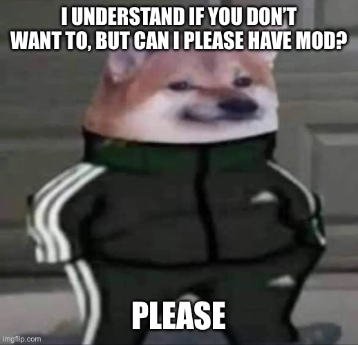 Pls I’ll be good | I UNDERSTAND IF YOU DON’T WANT TO, BUT CAN I PLEASE HAVE MOD? PLEASE | image tagged in cheebs tracksuit,justacheemsdoge | made w/ Imgflip meme maker
