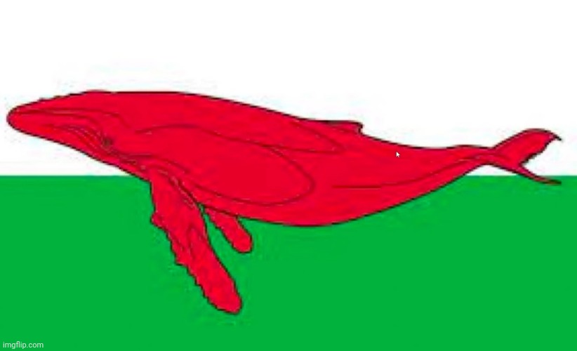 Wales | image tagged in wales,whales | made w/ Imgflip meme maker