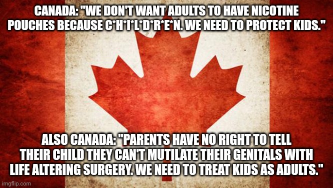 Make this make sense. | CANADA: "WE DON'T WANT ADULTS TO HAVE NICOTINE POUCHES BECAUSE C*H*I*L*D*R*E*N. WE NEED TO PROTECT KIDS."; ALSO CANADA: "PARENTS HAVE NO RIGHT TO TELL THEIR CHILD THEY CAN'T MUTILATE THEIR GENITALS WITH LIFE ALTERING SURGERY. WE NEED TO TREAT KIDS AS ADULTS." | image tagged in canada,meanwhile in canada,lgbtq,tranny | made w/ Imgflip meme maker