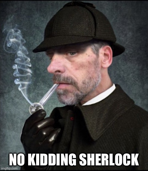 No Shit Sherlock | NO KIDDING SHERLOCK | image tagged in no shit sherlock | made w/ Imgflip meme maker