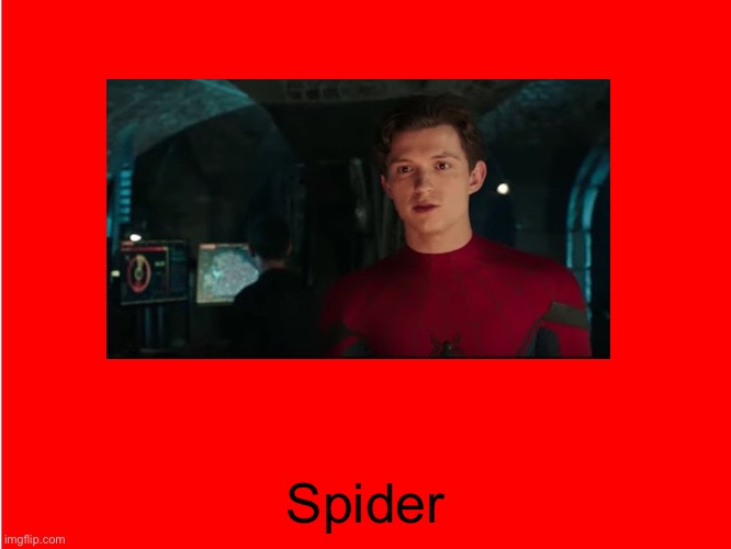 Red Background | Spider | image tagged in red background | made w/ Imgflip meme maker