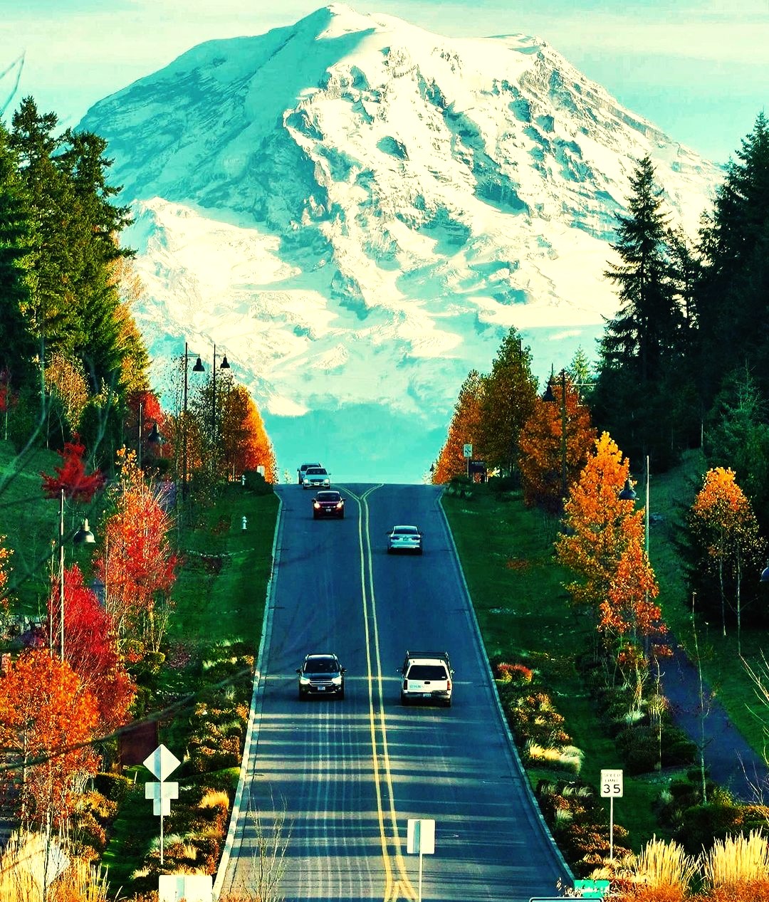 High Quality Road to Mt Rainier, Washington Blank Meme Template