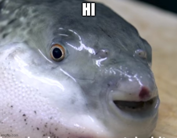 happy pufferfish | HI | image tagged in happy pufferfish | made w/ Imgflip meme maker