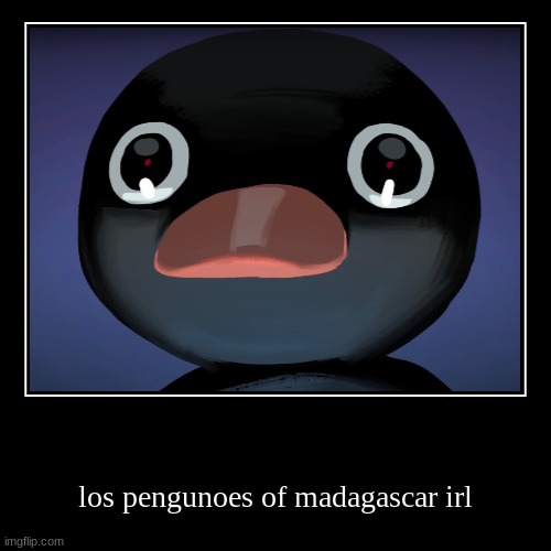 los pengunoes of madagascar irl | image tagged in funny,demotivationals | made w/ Imgflip demotivational maker