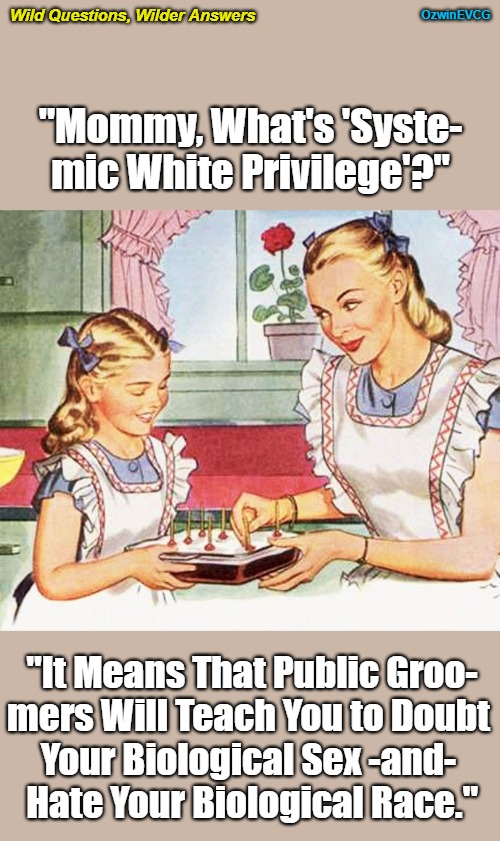 Wild Questions, Wilder Answers [NV] | Wild Questions, Wilder Answers; OzwinEVCG; "Mommy, What's 'Syste-

mic White Privilege'?"; "It Means That Public Groo-

mers Will Teach You to Doubt 

Your Biological Sex -and- 

Hate Your Biological Race." | image tagged in transgender grooming,white privilege,antiwhite grooming,white supremacy,liberal logic,clown world | made w/ Imgflip meme maker