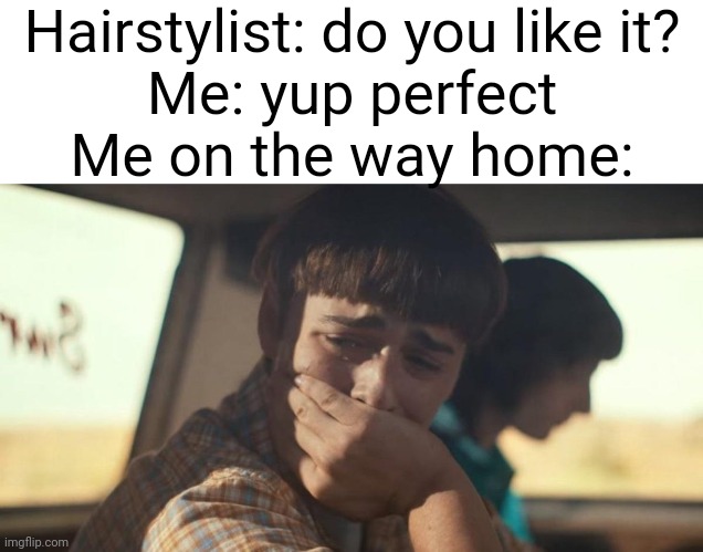 Based on true story sadly | Hairstylist: do you like it?
Me: yup perfect

Me on the way home: | image tagged in will byers crying | made w/ Imgflip meme maker