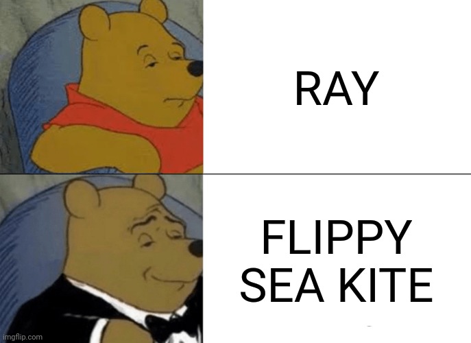 Ray | RAY; FLIPPY SEA KITE | image tagged in memes,tuxedo winnie the pooh | made w/ Imgflip meme maker