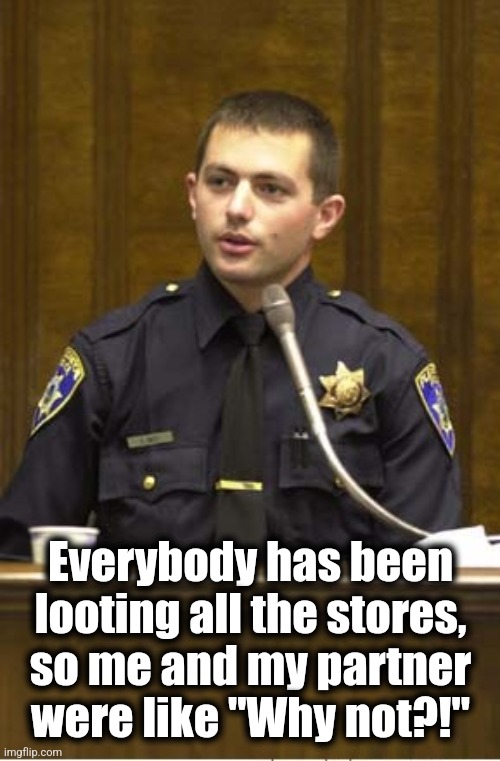 Police Officer Testifying Meme | Everybody has been
looting all the stores,
so me and my partner
were like "Why not?!" | image tagged in memes,police officer testifying | made w/ Imgflip meme maker