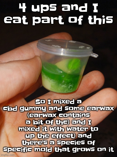 1 drop will make you WONKED OUT | 4 ups and I eat part of this; So I mixed a cbd gummy and some earwax (earwax contains a bit of thc) and I mixed it with water to up the effect) and there's a species of specific mold that grows on it | image tagged in also tweak helped me,with the upvote idea | made w/ Imgflip meme maker
