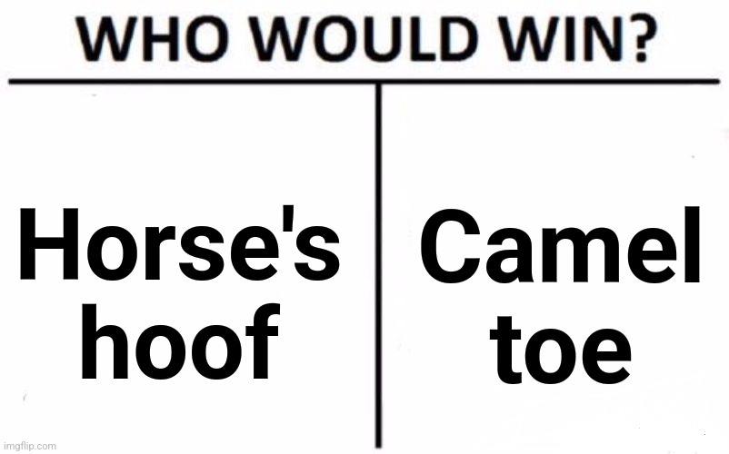 Who Would Win? Meme | Horse's
hoof Camel
toe | image tagged in memes,who would win | made w/ Imgflip meme maker