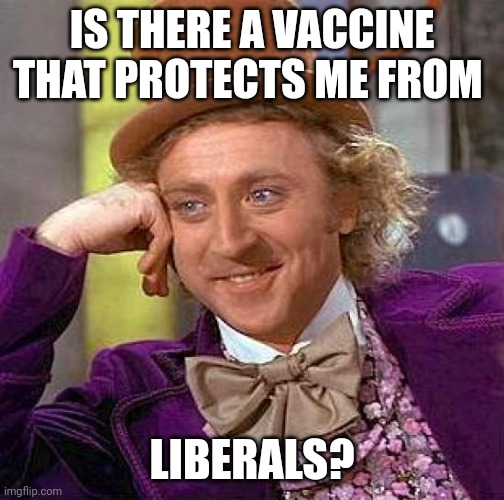 If only. | IS THERE A VACCINE THAT PROTECTS ME FROM; LIBERALS? | image tagged in memes,creepy condescending wonka,stupid liberals | made w/ Imgflip meme maker