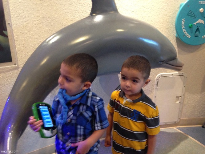 Ian Julian Dolphins | image tagged in ian julian dolphins | made w/ Imgflip meme maker