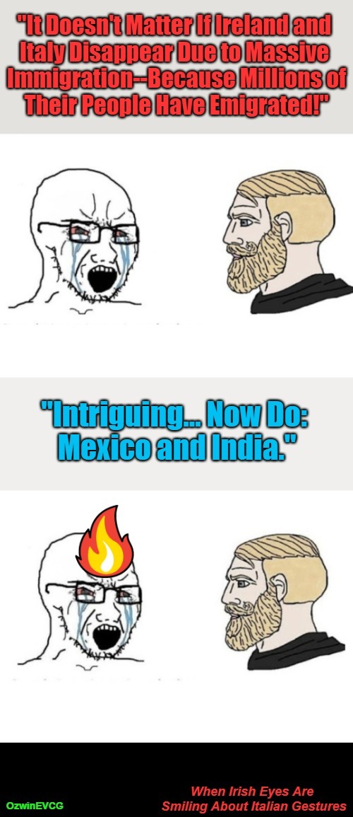 When Irish Eyes Are Smiling About Italian Gestures [NV] | image tagged in soyboy vs yes chad,antiwhite,double standards,immigration,liberal logic,preserving peoples | made w/ Imgflip meme maker