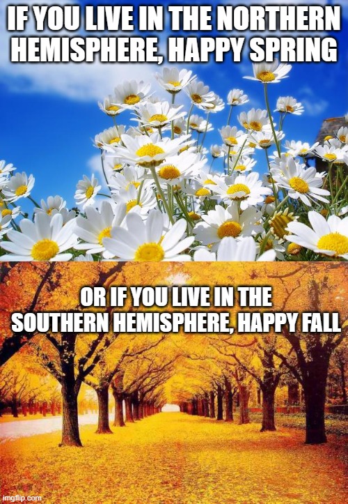 IF YOU LIVE IN THE NORTHERN HEMISPHERE, HAPPY SPRING; OR IF YOU LIVE IN THE SOUTHERN HEMISPHERE, HAPPY FALL | image tagged in spring daisy flowers,autumn trees | made w/ Imgflip meme maker