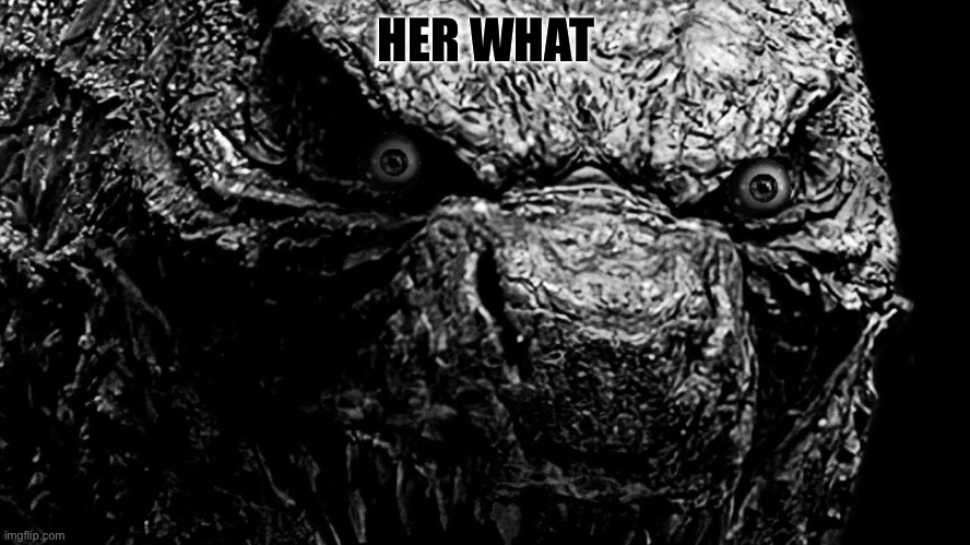 Godzilla Prowler | HER WHAT | image tagged in godzilla prowler | made w/ Imgflip meme maker