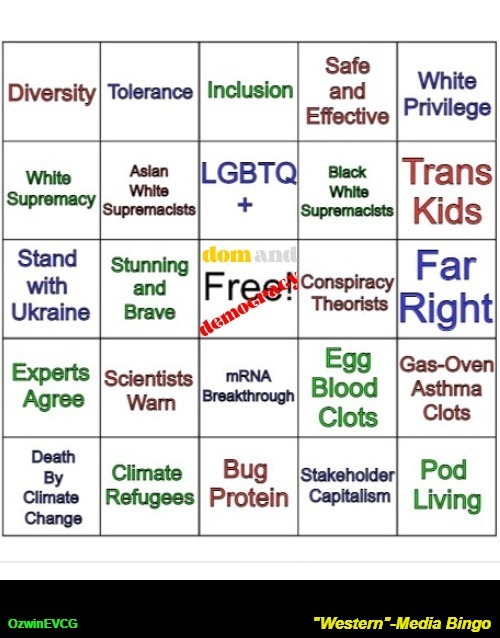 "Western"-Media Bingo [NV] | image tagged in msm lies,bingo,regime language,npc parrots,clown world,2020s | made w/ Imgflip meme maker