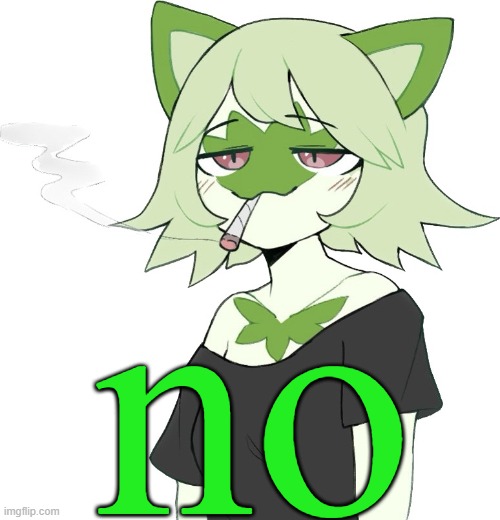 weed cat | no | image tagged in weed cat | made w/ Imgflip meme maker