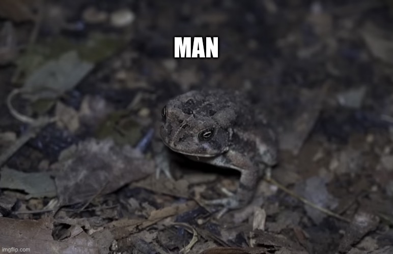 Toad | MAN | image tagged in toad,funny animals,animal meme,funny animal meme,memes,shitpost | made w/ Imgflip meme maker