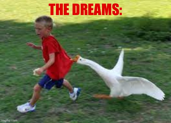 Honk | THE DREAMS: | image tagged in honk | made w/ Imgflip meme maker