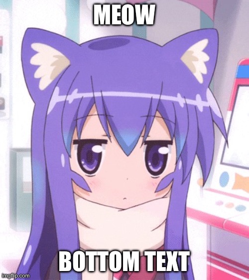 Anime Nyan | MEOW BOTTOM TEXT | image tagged in anime nyan | made w/ Imgflip meme maker