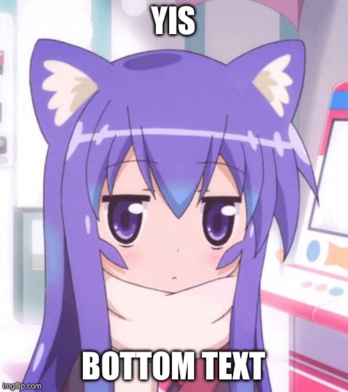 Anime Nyan | YIS BOTTOM TEXT | image tagged in anime nyan | made w/ Imgflip meme maker