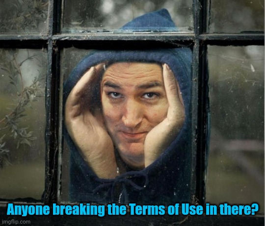 Peeping Ted Cruz | Anyone breaking the Terms of Use in there? | image tagged in peeping ted cruz | made w/ Imgflip meme maker