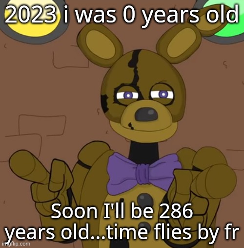 hehehehaw fack u | 2023 i was 0 years old; Soon I'll be 286 years old...time flies by fr | image tagged in hehehehaw fack u | made w/ Imgflip meme maker