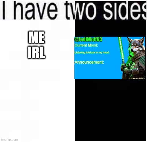 I legit feel like a completely different person when I'm on Imgflip (also gn chat) | ME IRL | image tagged in i have two sides | made w/ Imgflip meme maker