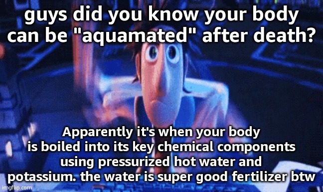 I legit never knew, what do you all think | guys did you know your body can be "aquamated" after death? Apparently it's when your body is boiled into its key chemical components using pressurized hot water and potassium. the water is super good fertilizer btw | image tagged in flintlock temp | made w/ Imgflip meme maker