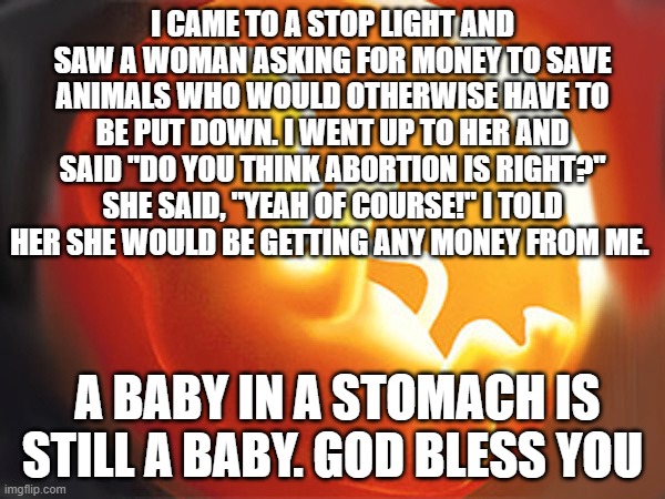 unborn child | I CAME TO A STOP LIGHT AND SAW A WOMAN ASKING FOR MONEY TO SAVE ANIMALS WHO WOULD OTHERWISE HAVE TO BE PUT DOWN. I WENT UP TO HER AND SAID "DO YOU THINK ABORTION IS RIGHT?" SHE SAID, "YEAH OF COURSE!" I TOLD HER SHE WOULD BE GETTING ANY MONEY FROM ME. A BABY IN A STOMACH IS STILL A BABY. GOD BLESS YOU | image tagged in unborn child | made w/ Imgflip meme maker