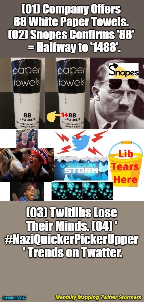 Mentally Mapping Twitter Stormers [NV] | (01) Company Offers   

88 White Paper Towels.   

(02) Snopes Confirms '88'   

= Halfway to '1488'. (03) Twitlibs Lose 

Their Minds. (04) ' 

#NaziQuickerPickerUpper 

' Trends on Twatter. Mentally Mapping Twitter Stormers; OzwinEVCG | image tagged in political comedy,trolling,social commentary,liberal logic,generation snopesflake,clown world | made w/ Imgflip meme maker