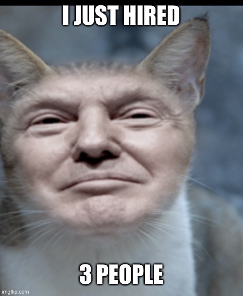 Donald trump cat | I JUST HIRED; 3 PEOPLE | image tagged in donald trump cat | made w/ Imgflip meme maker
