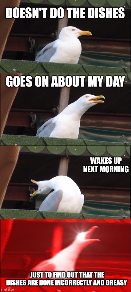 Inhaling Seagull Meme | DOESN'T DO THE DISHES; GOES ON ABOUT MY DAY; WAKES UP NEXT MORNING; JUST TO FIND OUT THAT THE DISHES ARE DONE INCORRECTLY AND GREASY | image tagged in memes,inhaling seagull,chores,funny,funny meme,meme | made w/ Imgflip meme maker
