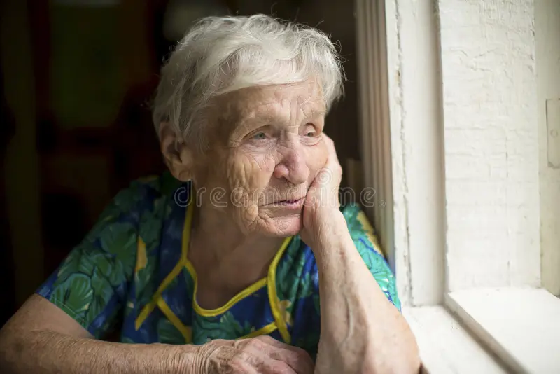 High Quality Old Lady Looking Out Window Blank Meme Template