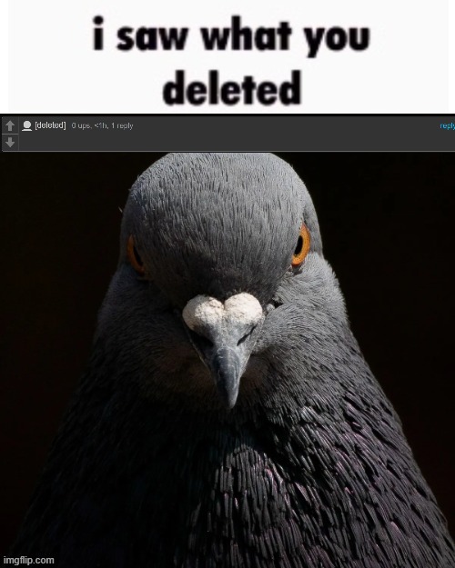@broken-vessel | image tagged in the pigon saw what you deleted | made w/ Imgflip meme maker