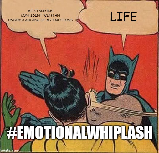 Emotions | ME STANDING CONFIDENT WITH AN UNDERSTANDING OF MY EMOTIONS; LIFE; #EMOTIONALWHIPLASH | image tagged in memes,batman slapping robin | made w/ Imgflip meme maker