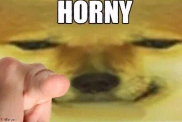 You horny | image tagged in you horny | made w/ Imgflip meme maker