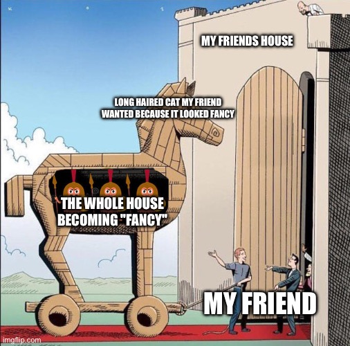Trojan Horse | MY FRIENDS HOUSE; LONG HAIRED CAT MY FRIEND WANTED BECAUSE IT LOOKED FANCY; THE WHOLE HOUSE BECOMING "FANCY"; MY FRIEND | image tagged in trojan horse | made w/ Imgflip meme maker
