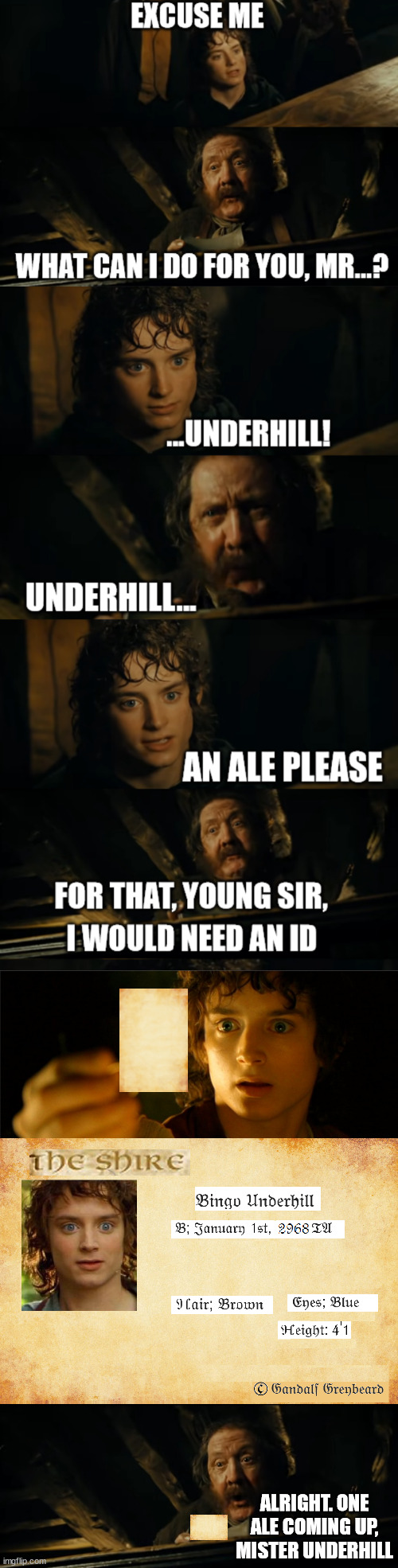 Mr Underhill | ALRIGHT. ONE ALE COMING UP, MISTER UNDERHILL | image tagged in frodo | made w/ Imgflip meme maker