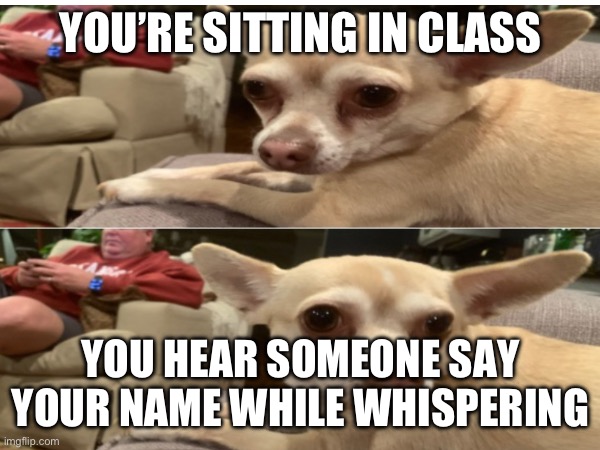 I hear you saying me | YOU’RE SITTING IN CLASS; YOU HEAR SOMEONE SAY YOUR NAME WHILE WHISPERING | image tagged in class,dixie | made w/ Imgflip meme maker