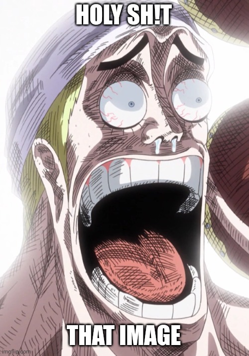 My honest reaction | HOLY SH!T; THAT IMAGE | image tagged in one piece enel shocked | made w/ Imgflip meme maker