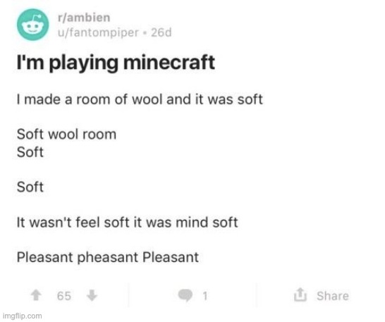 i was never feel soft i was mind soft makes me more comfortable | made w/ Imgflip meme maker