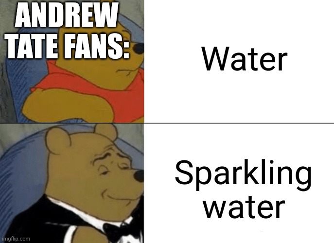 Tuxedo Winnie The Pooh Meme | Water; ANDREW TATE FANS:; Sparkling water | image tagged in memes,tuxedo winnie the pooh | made w/ Imgflip meme maker