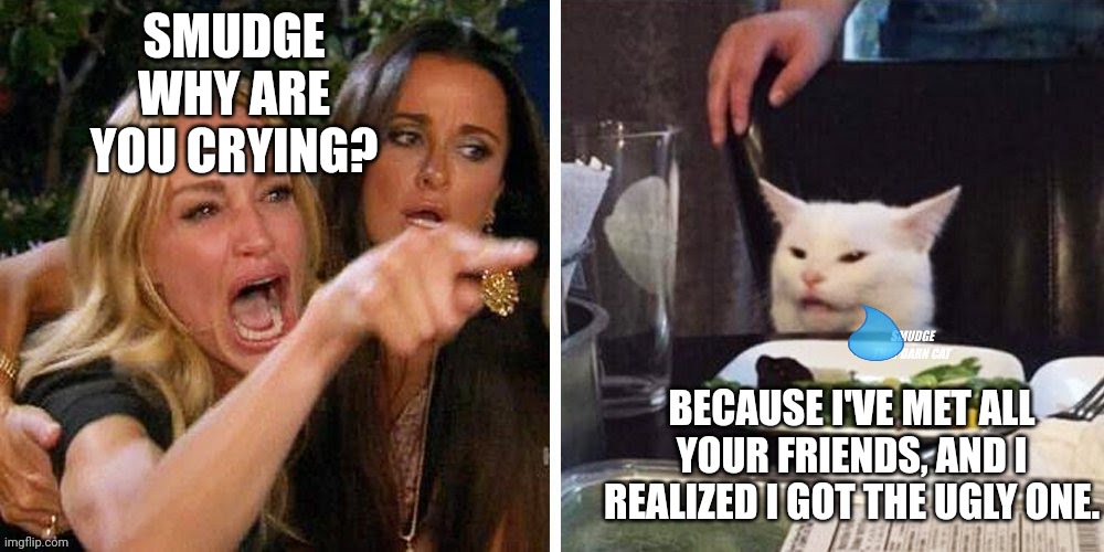 Smudge that darn cat with Karen | SMUDGE WHY ARE YOU CRYING? BECAUSE I'VE MET ALL YOUR FRIENDS, AND I REALIZED I GOT THE UGLY ONE. | image tagged in smudge that darn cat with karen | made w/ Imgflip meme maker
